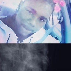 Meet your Posher, Dwight